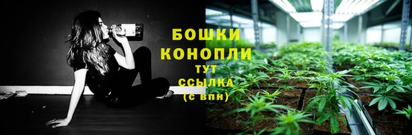 прущие грибы Абаза