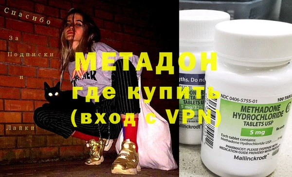 прущие грибы Абаза