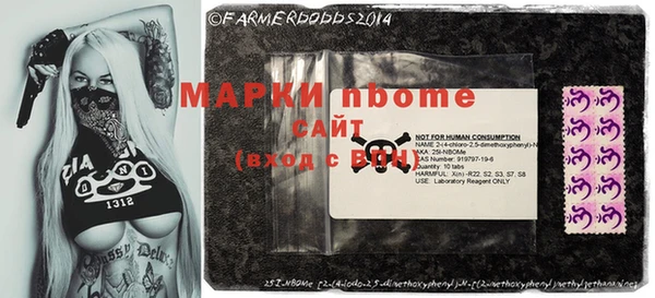 прущие грибы Абаза