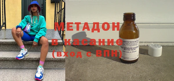 прущие грибы Абаза