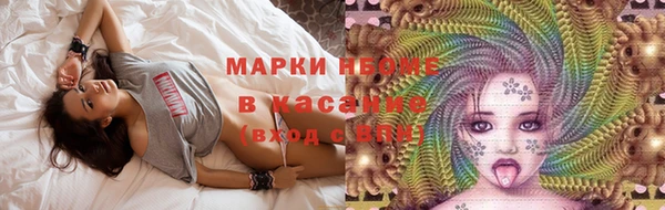 прущие грибы Абаза