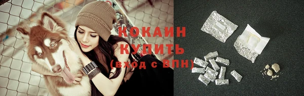 прущие грибы Абаза