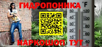 дживик Тверь