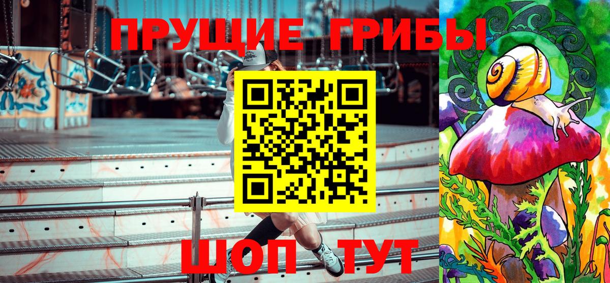 Тутаев  Псилоцибиновые грибы мухоморы  Вход с VPN 