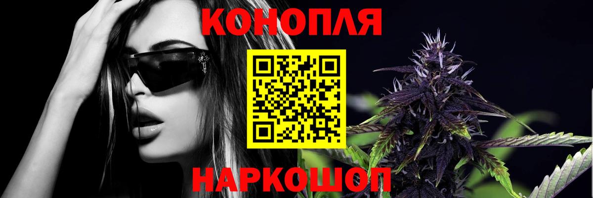 Каннабис индика Тутаев